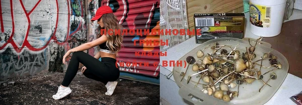 дистиллят марихуана Алексеевка